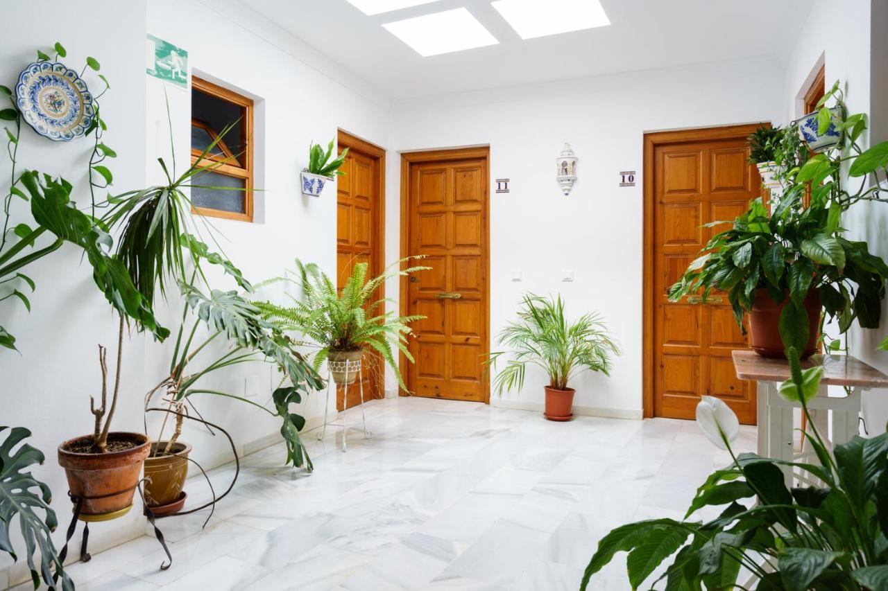 Apartamentos Pepe Mesa Nerja Eksteriør billede